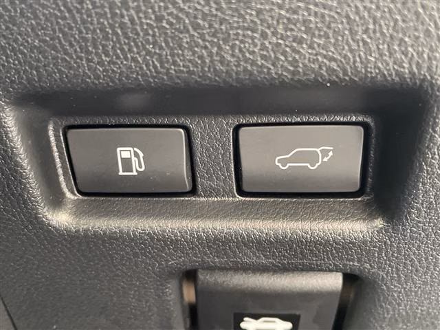 LEXUS UX250H