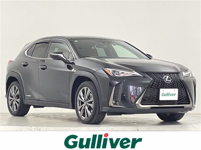 LEXUS UX250H