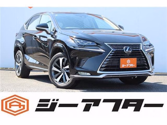 LEXUS NX300
