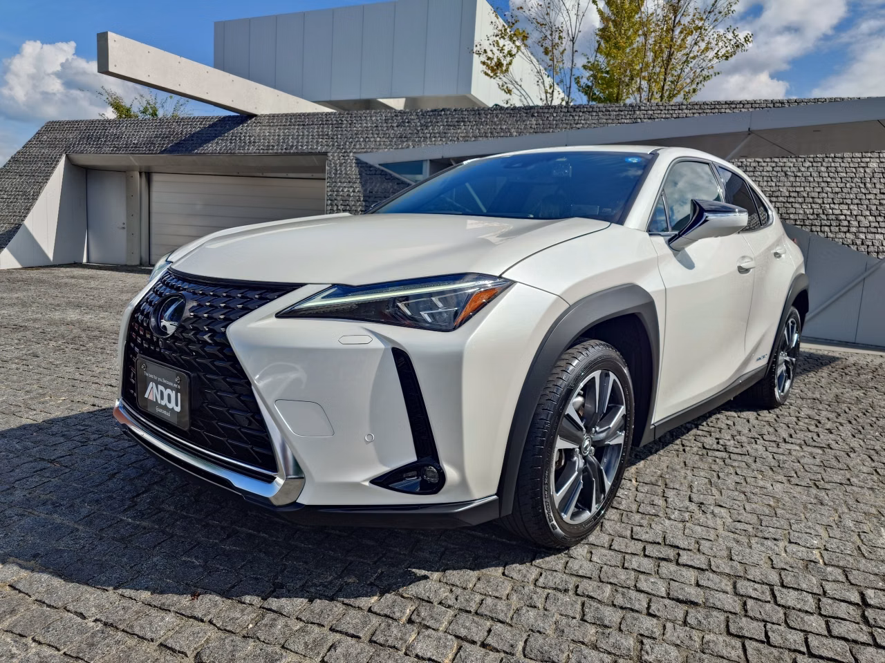 LEXUS UX250H