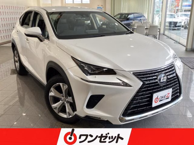 LEXUS NX300