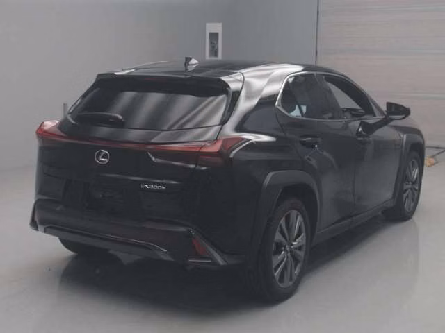LEXUS UX300H