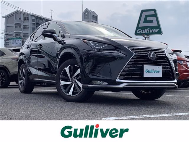 LEXUS NX300