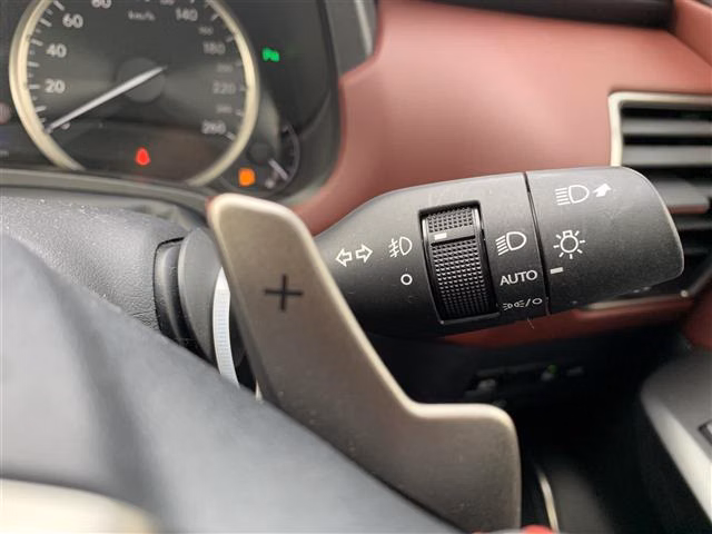 LEXUS NX300