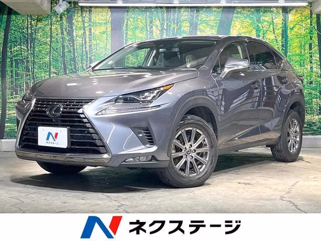 LEXUS NX300