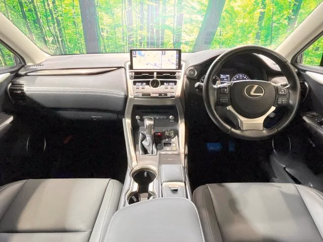 LEXUS NX300