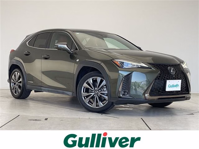 LEXUS UX250H