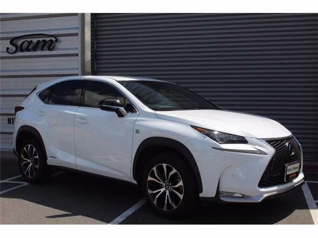 LEXUS NX300