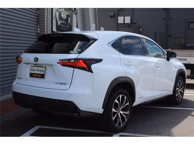 LEXUS NX300