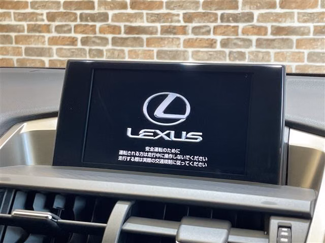LEXUS NX300
