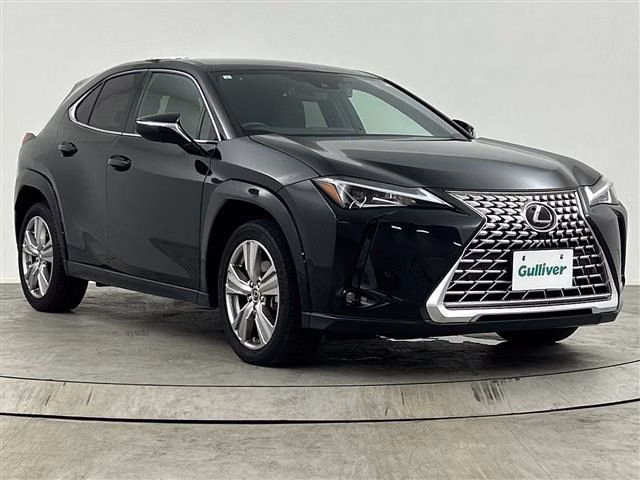 LEXUS UX250H
