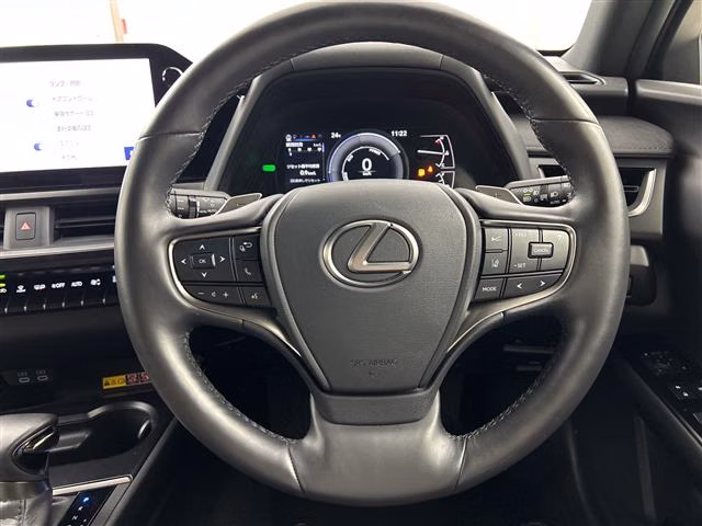 LEXUS UX250H