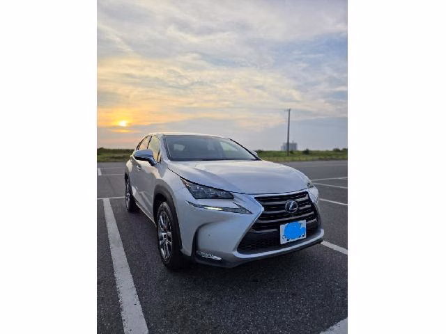 Lexus NX300h