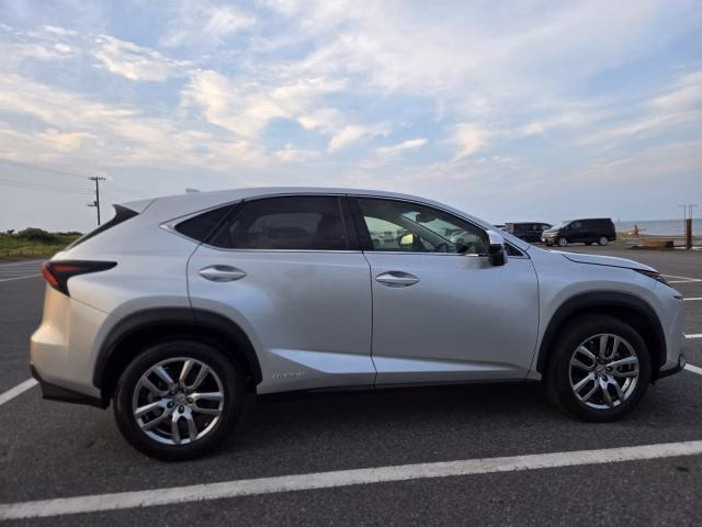 Lexus NX300h