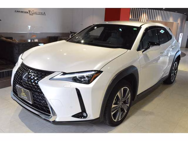 Lexus UX300e