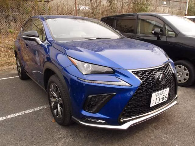 LEXUS NX300