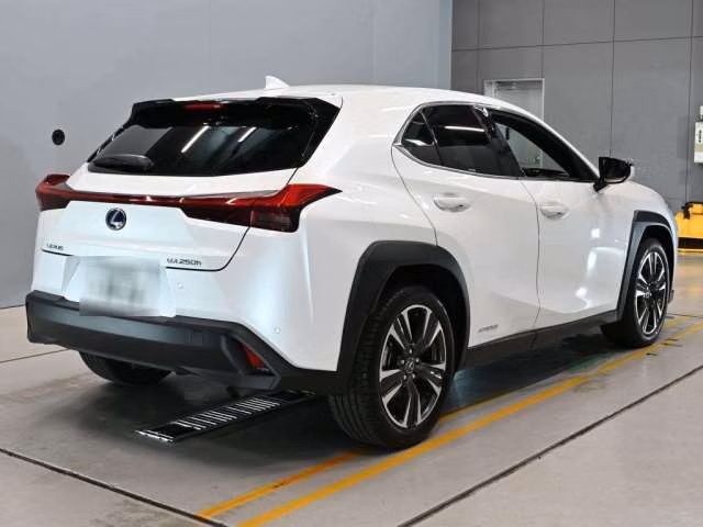 LEXUS UX250H