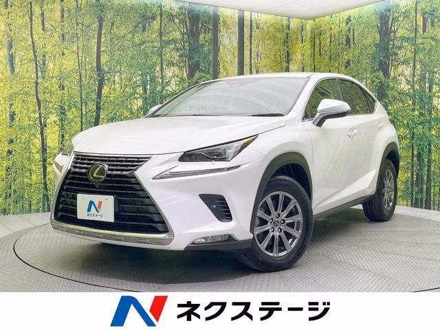 LEXUS NX300