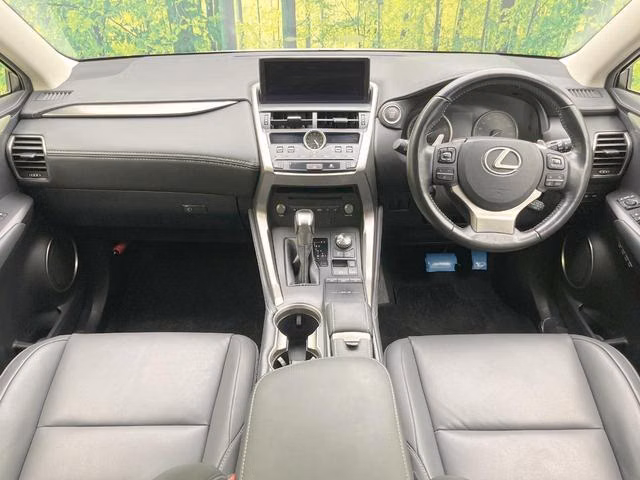 LEXUS NX300
