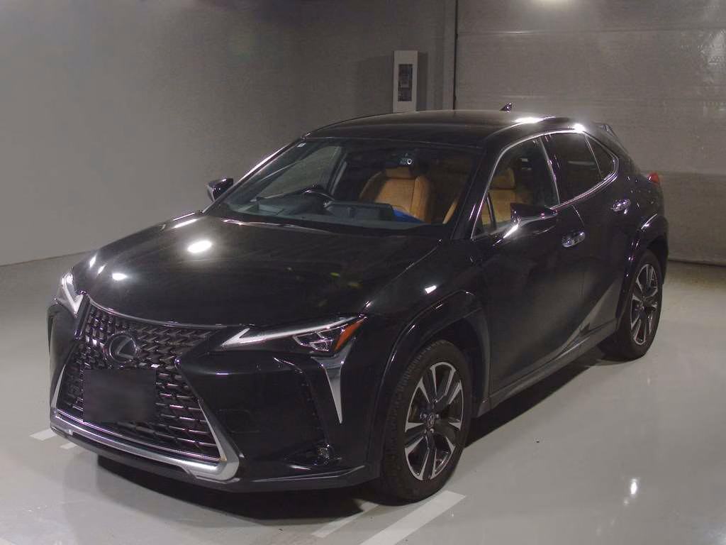 LEXUS UX250H