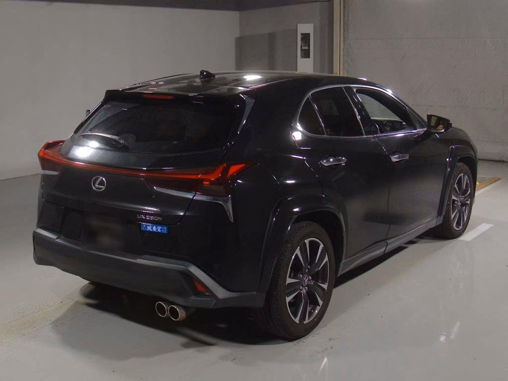 LEXUS UX250H