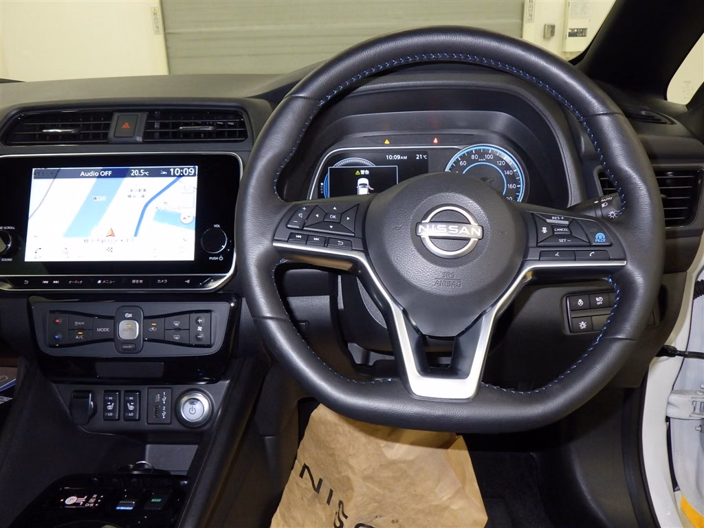 NISSAN LEAF