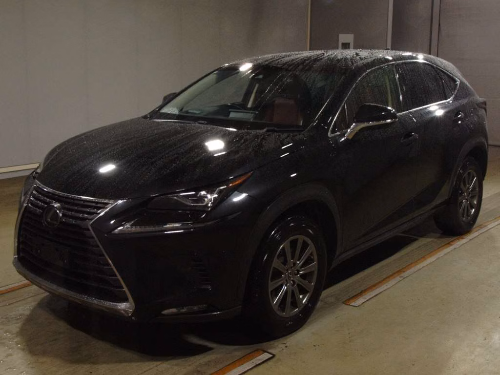 LEXUS NX300