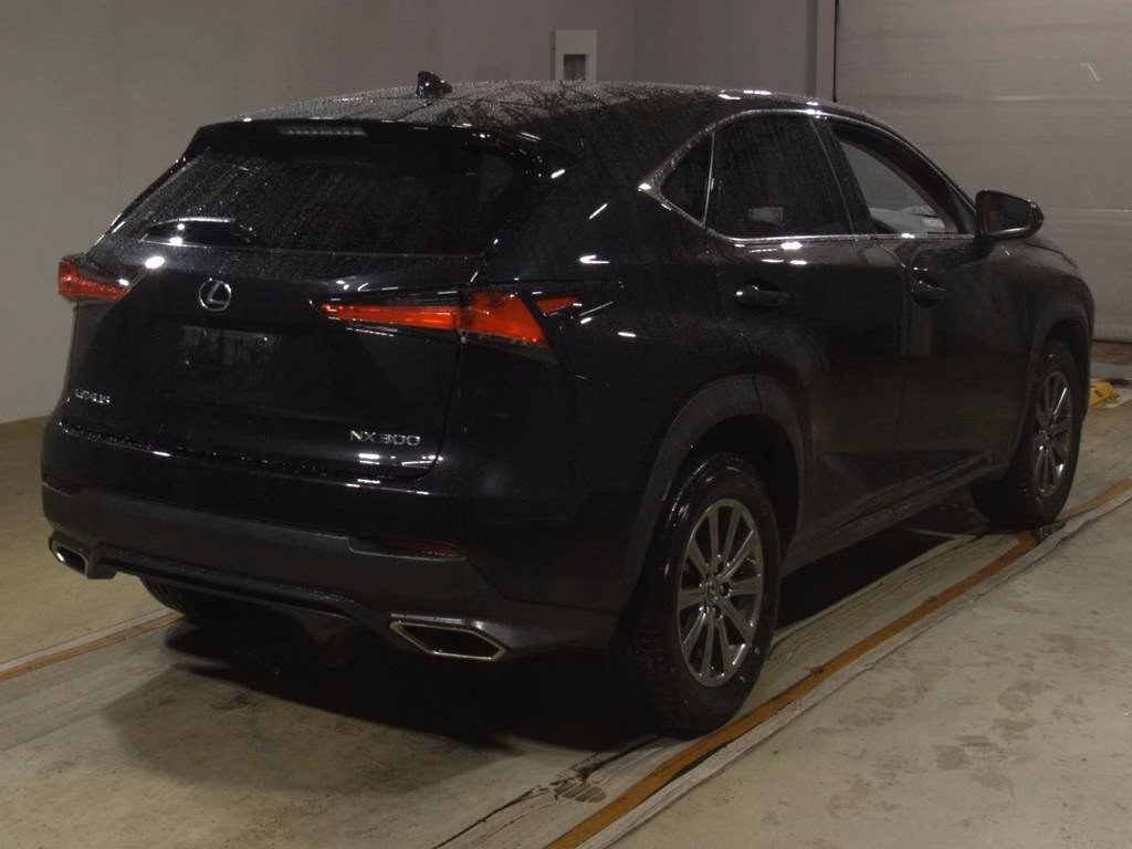 LEXUS NX300