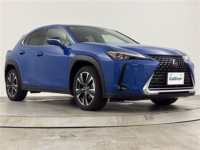 LEXUS UX250H