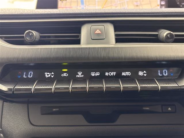 LEXUS UX250H