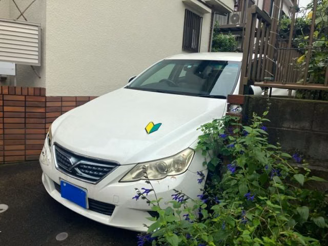 TOYOTA MARK X