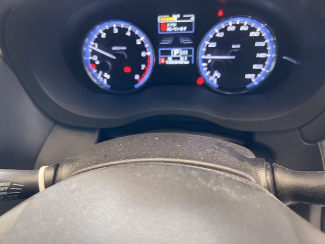 SUBARU LEVORG
