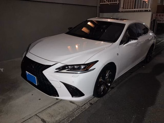 LEXUS ES300H