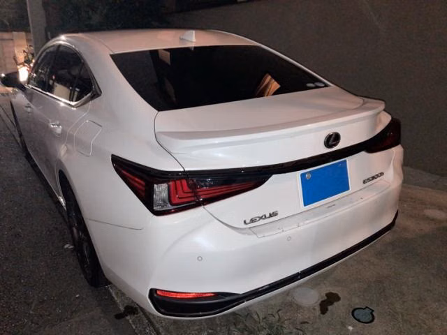 LEXUS ES300H