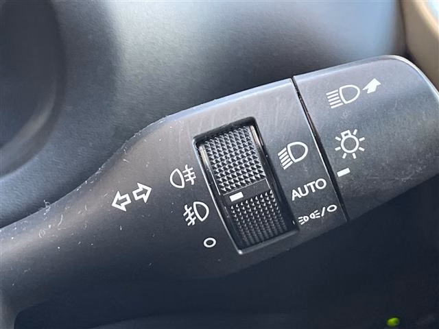 LEXUS NX300
