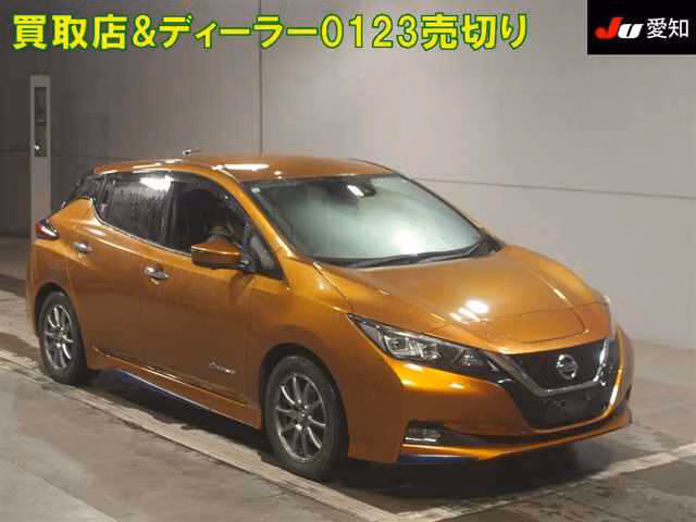 NISSAN LEAF