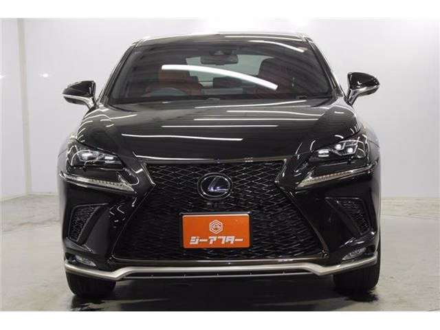 Lexus NX300