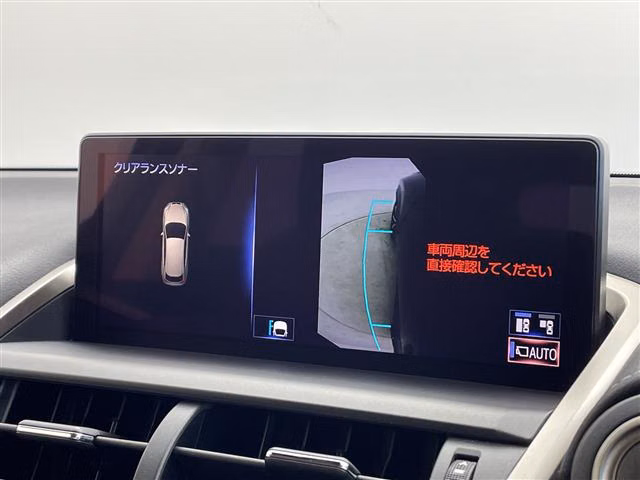 LEXUS NX300