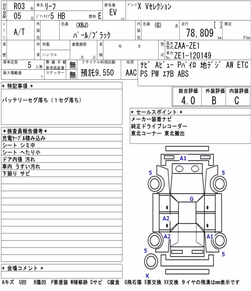 NISSAN LEAF