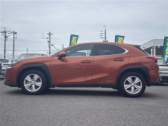 LEXUS UX250H