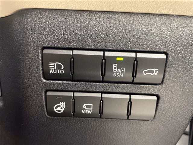 LEXUS NX300