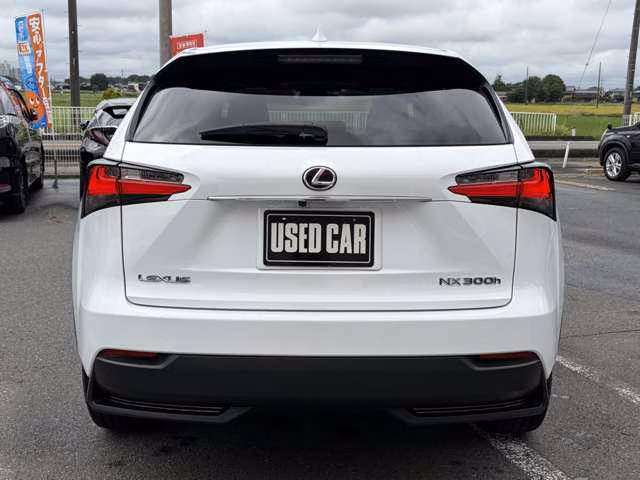 Lexus NX300
