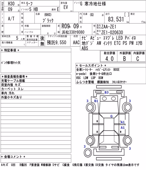 NISSAN LEAF