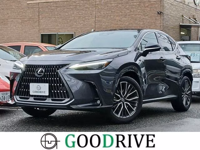 Lexus NX250