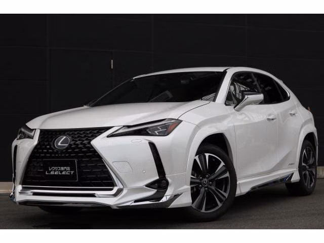 Lexus UX250h