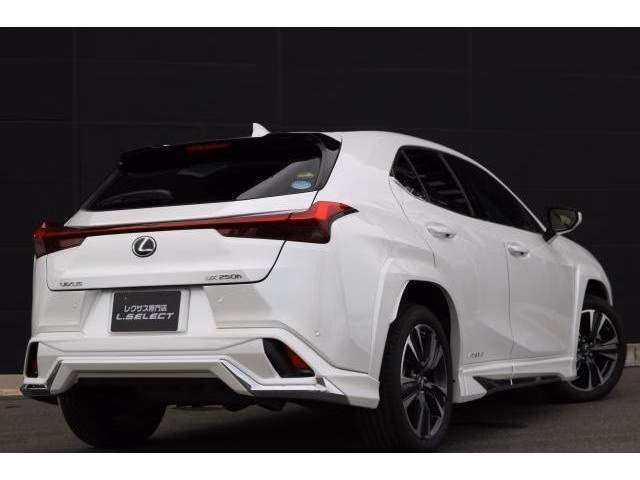 Lexus UX250h