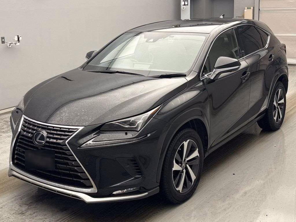 Lexus NX300