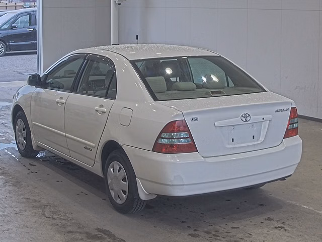 TOYOTA COROLLA