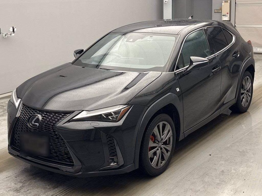 LEXUS UX250H