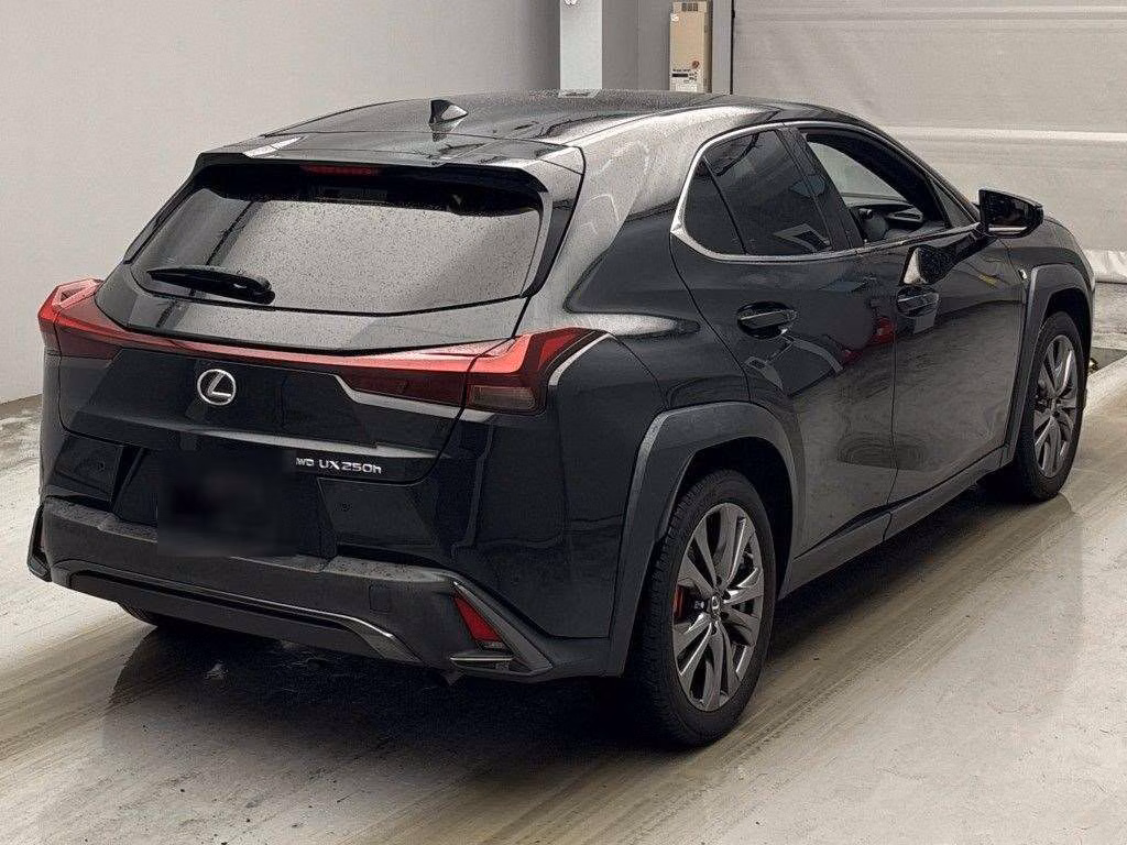 LEXUS UX250H